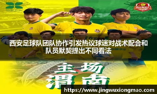 西安足球队团队协作引发热议球迷对战术配合和队员默契提出不同看法
