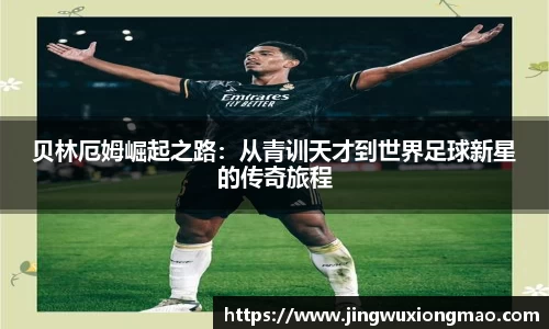 博鱼.boyu体育